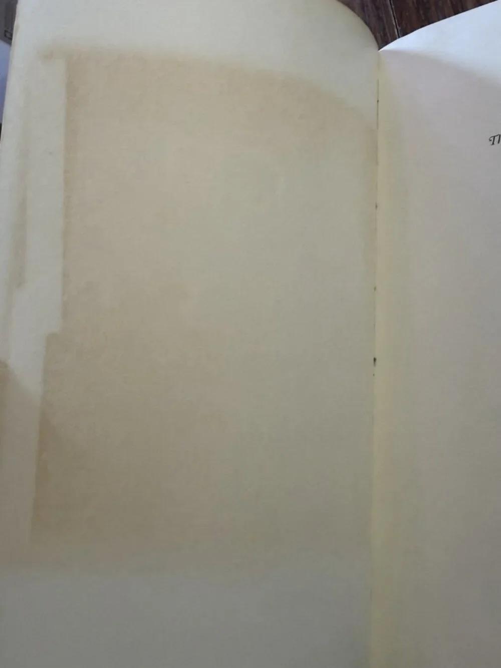 THE SMOKE THAT CARRIED US: SELECTED POEMS OF RENE CHAR By Susanne Dubroff